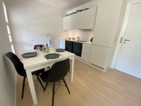 Central Copenhagen Apt with Balcony, Free Parking & Elevator, Copenhagen